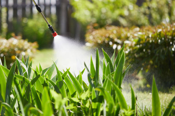 24/7 Emergency Mosquito Control experts in Bell, CA