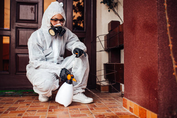 Reliable Mosquito Control contractor in Bell, CA by Show Me Pest Control