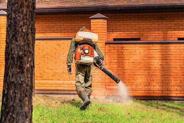 Top rated local Mosquito Control specialists in Bell, CA